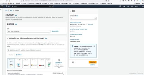 低成本亚马逊云服务器搭建与域名注册实战指南